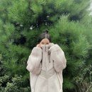 포그니코리아 이미지