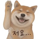 스시쿄다이 - 서귀포시 동홍남로 53 | 스시쿄다이