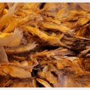 종로맥가 이미지