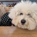 별숲마루 이미지