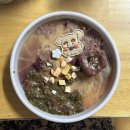 부천애견미용 멍미살롱 | [10~12월] 대학원생은 힘들어🥲