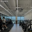 제이와이멀티짐 네이버블로그