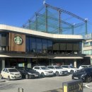 광주선우학교 | [단풍맛집] 광주 지스트 GIST 메타세콰이어 단풍 후기 및 근처카페 추천