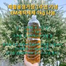 세탁정거장 이미지