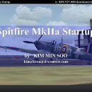 A2A Accusim Spitfire MkIIa 시동걸기, 이륙, 비행 및 착륙까지.. 이미지