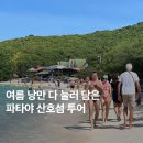 파타야 여행 필수코스! 12월 산호섬 투어 준비물 예약 후기