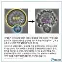 가평삼성의원 이미지