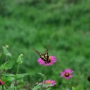 영선농장 | 대명동 가성비 맛집 그린농장식육식당 에서 내돈내산