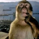 조은고기 백화점 | 알쏭달쏭 상하이