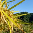 해밀한의원 이미지