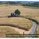 은애농장 이미지