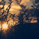 해돋이공원(관리사무소) 이미지