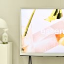 숲앤숲 | 섬유 냄새 및 새집증후군 실내 냄새 고민이라면 웅진 숲앤숲 피톤치드 천연 탈취제 추천 ~