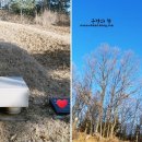 카페아이노스 이미지