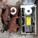 백세로약국 이미지