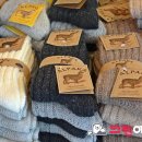 세탁의 신 이미지