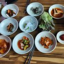 단양 단성면 청국장 맛집 추천! &#39;백마식당’ 솔직 후기