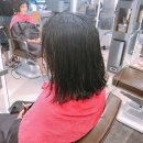 머시헤어 이미지