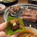 고래게임랜드 이미지