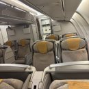 172 | 오키나와 아시아나 비즈니스태교여행 임산부 후기 OZ172 171