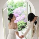디하우스 이미지