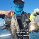 킹스타 이미지