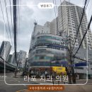 미서울치과의원 | 가성비 좋고 부담 없이 다니는 동네 치과 안양 라포치과의원 후기