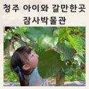 청주 아이와 갈만한곳 물놀이 키카 먹이주기 오디따기 잠사박물관후기