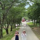 낙농 | 용인 아이와 가볼만한곳 농도원 목장 낙농체험 후기