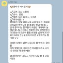 졸리쇼 | 울산 신정동애견유치원 졸리쇼 등원후기