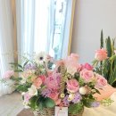 사파동264 이미지