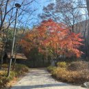 갈울근린공원 이미지