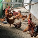 정훈농장 이미지