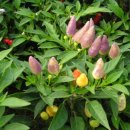 대구종합사회복지관 이미지