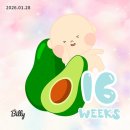 (주)에어팍스 | 행복카드 20만원 캐시백 후기 | 아가짱 기저귀갈이대 세이프플러스 리뉴얼 | 아기방 이케아 팍스 옷장 고민