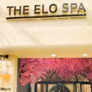 디엘 짐 | 호치민 마사지 추천 공항샌딩 디엘로스파 팁