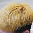 호유 이미지