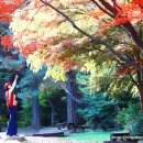 삼거대공원 네이버블로그
