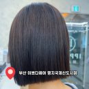 파리바게뜨 명지국제신도시점 | 부산 이쁘다헤어 명지국제신도시점|호유재생클리닉 후기