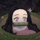 NR-22[동주로]-하-105 | 🎆🤞🏻~…