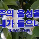 김*주 이미지