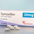 1744 | 타목시펜 [ -1744Day ]