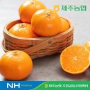 천혜향