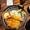 [구마모토] 후쿠오카 당일치기 일정🍴가츠레츠테이 본점 후기