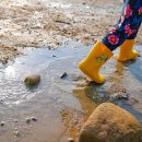 죽림해수욕장 이미지