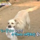 호야농장 이미지
