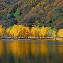 시월이네 이미지