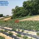 신령리신촌 이미지