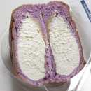 멍슐리 | 2026.03월 기록