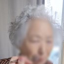 영림식품 이미지